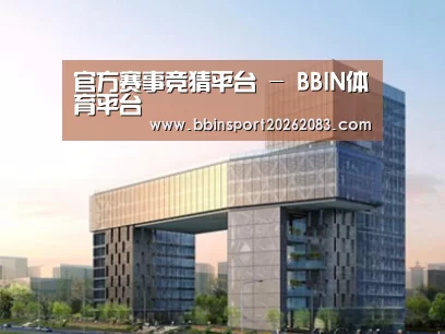 案例展示四