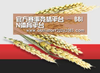 官方赛事竞猜平台 - BBIN体育平台