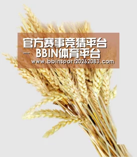 官方赛事竞猜平台 - BBIN体育平台