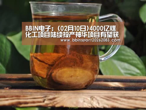 BBIN电子