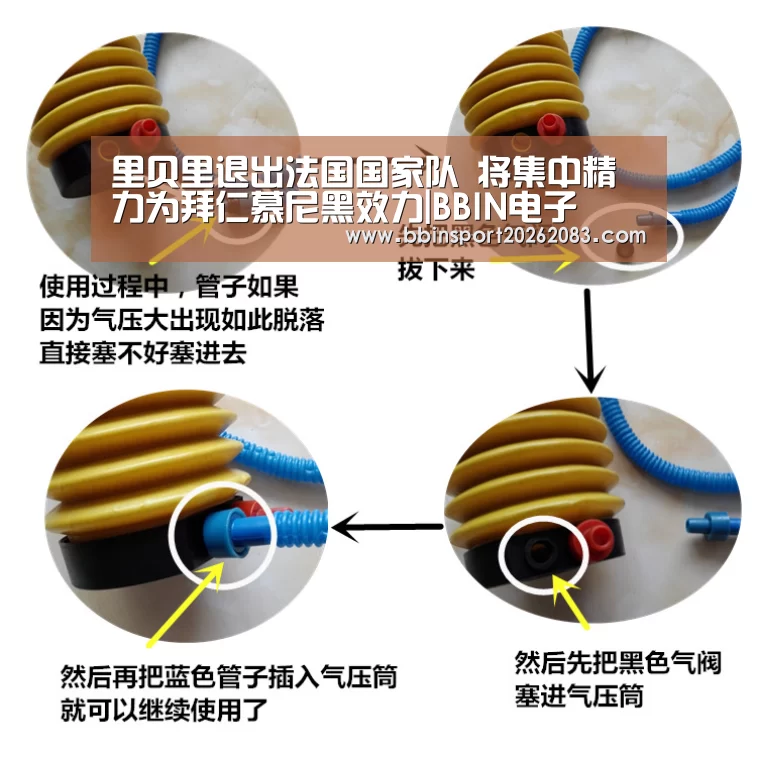 里贝里退出法国国家队 将集中精力为拜仁慕尼黑效力|BBIN电子(图1) BBIN视讯