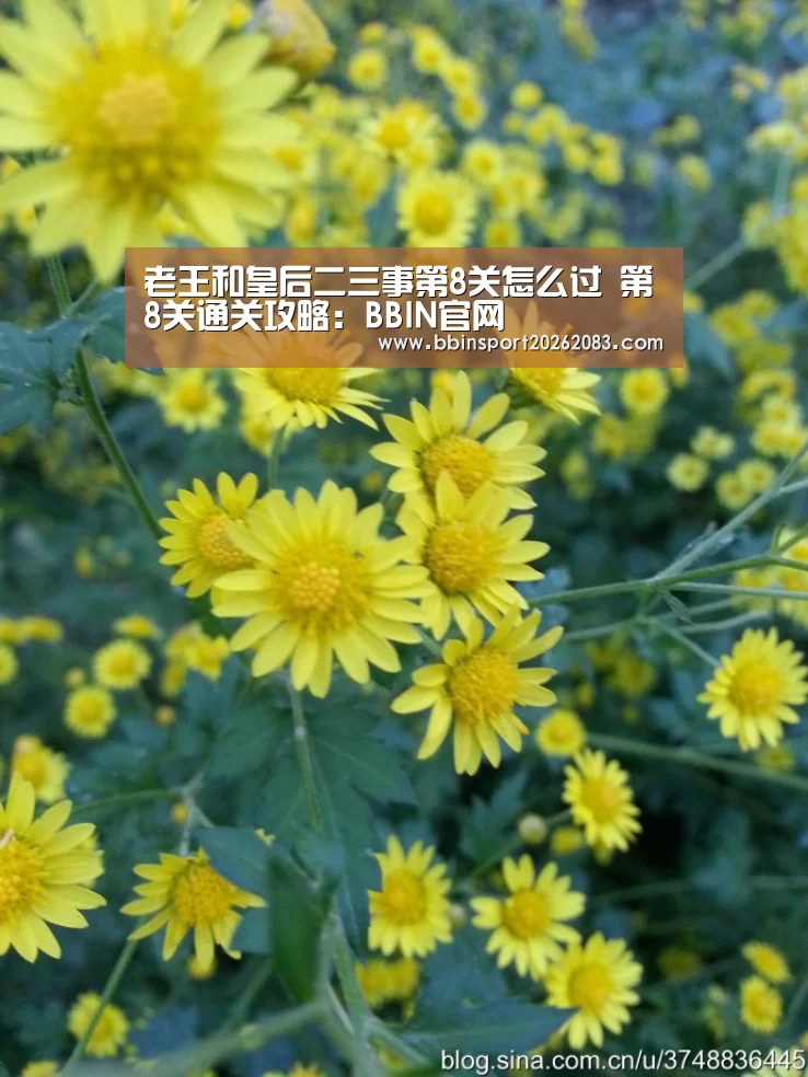 BBIN视讯