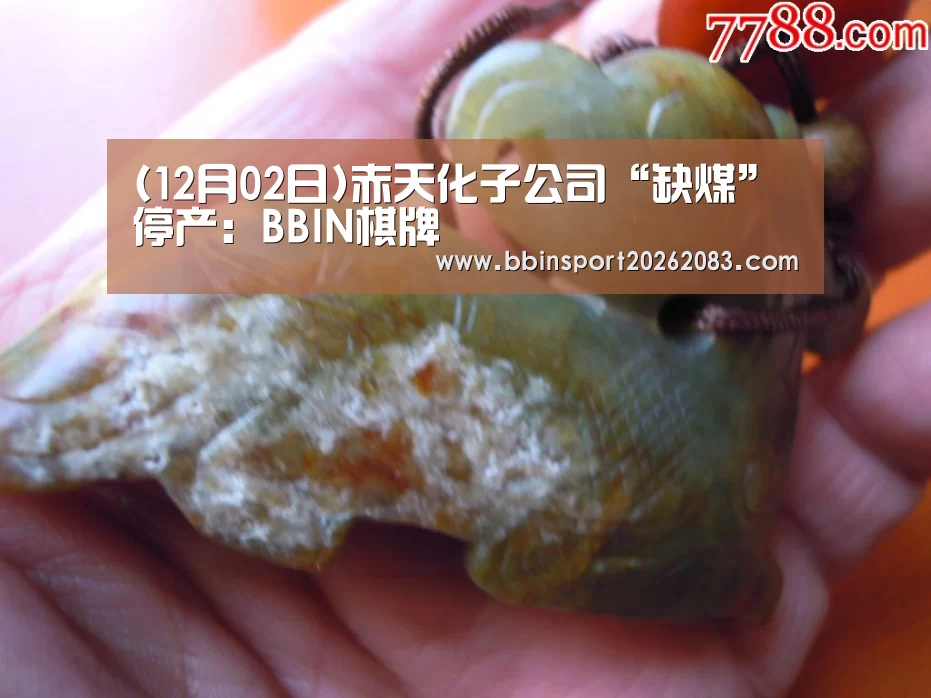 (12月02日)赤天化子公司“缺煤”停产:BBIN棋牌(图2) BBIN棋牌