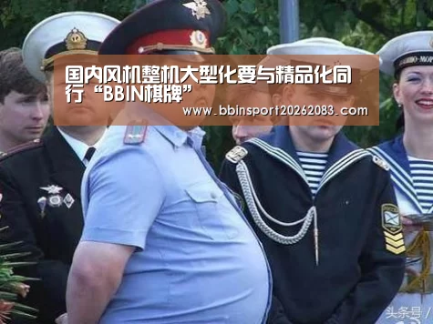 国内风机整机大型化要与精品化同行“BBIN棋牌”(图4) BBIN电子