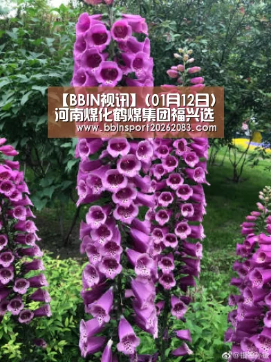 BBIN官网