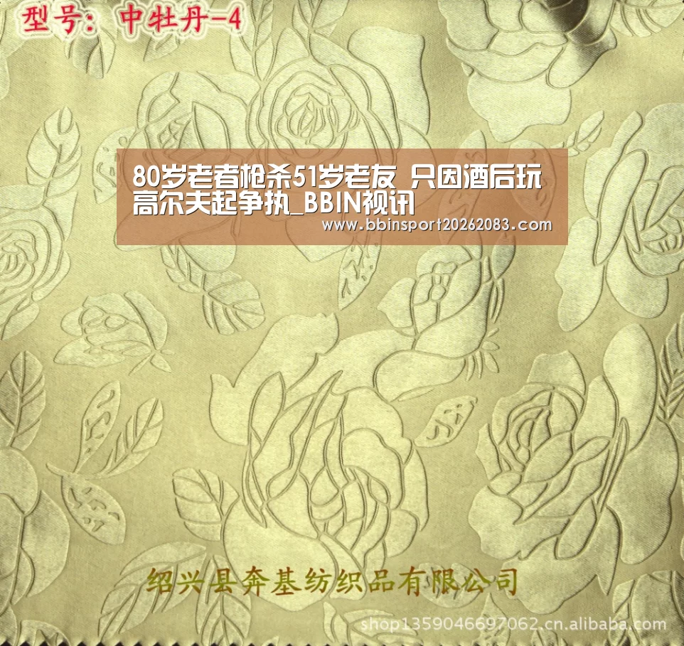 BBIN视讯