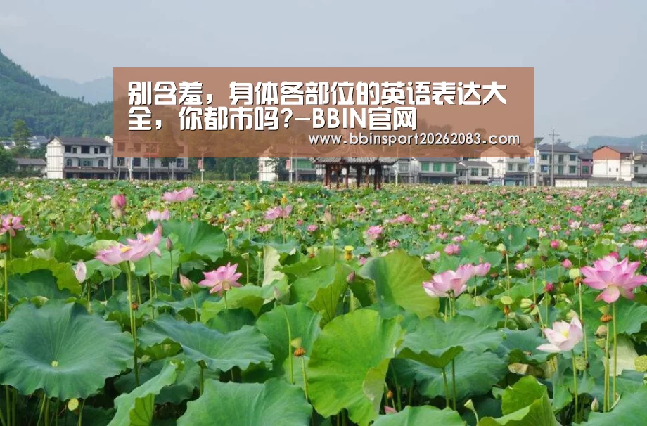 别含羞, 身体各部位的英语表达大全, 你都市吗?-BBIN官网(图8) BBIN视讯