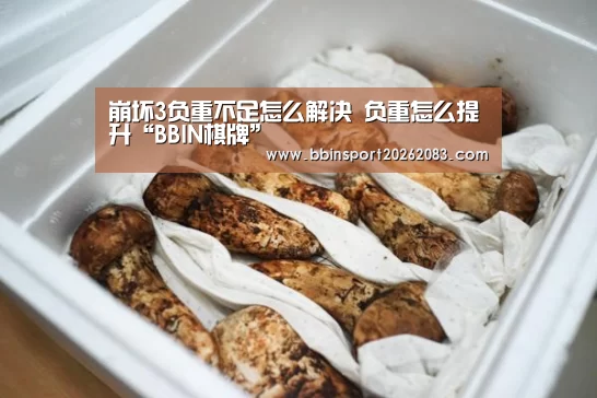 BBIN官网